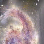cosmos thumbnail 1