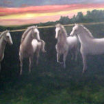 Paisajes de Chile thumbnail 2