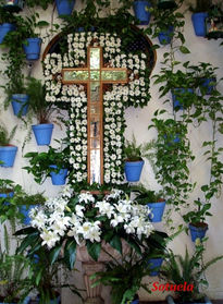 Cruz de Mayo Málaga