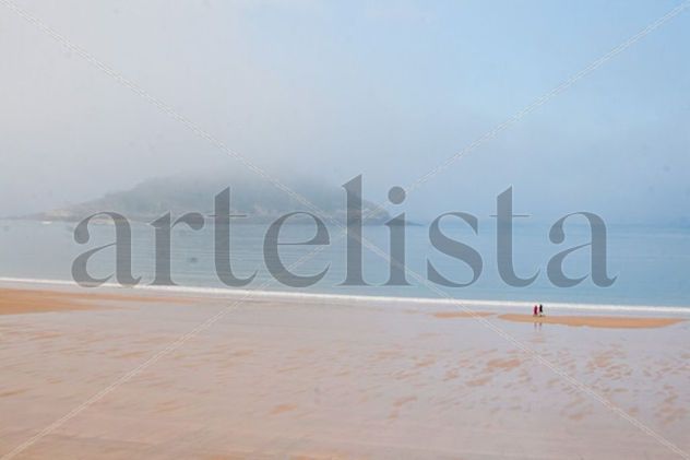 Entre niebla