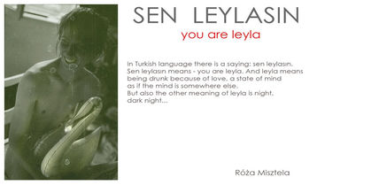 You are Leyla