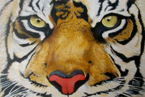 Tigre