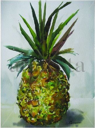 Piña Watercolour Paper Still Life Paintings