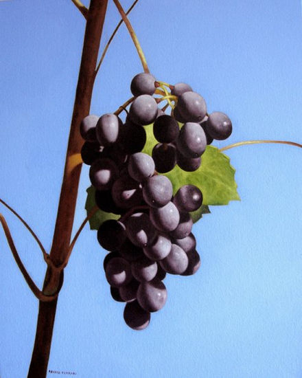 uvas Oil Canvas Still Life Paintings