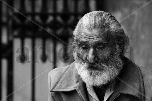 señor gris