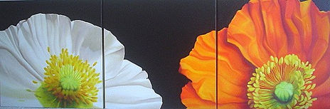 Amapolas
