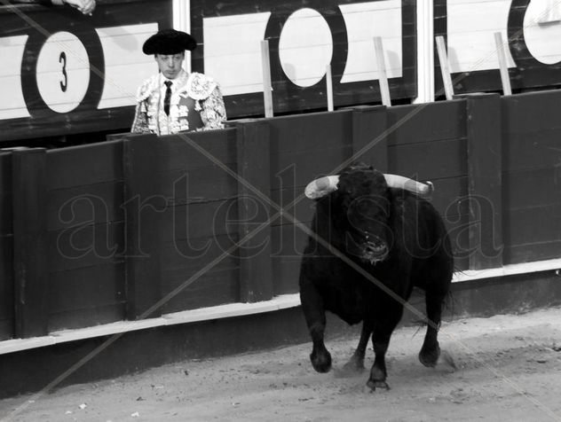 toreros, Plaza de la Malagueta