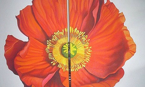Flores