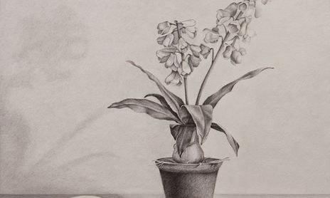 dibujos - drawings