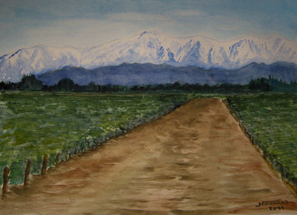 "Viñedos"