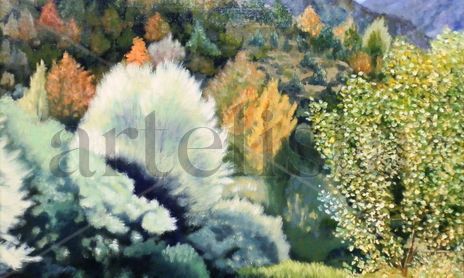 Paisajes