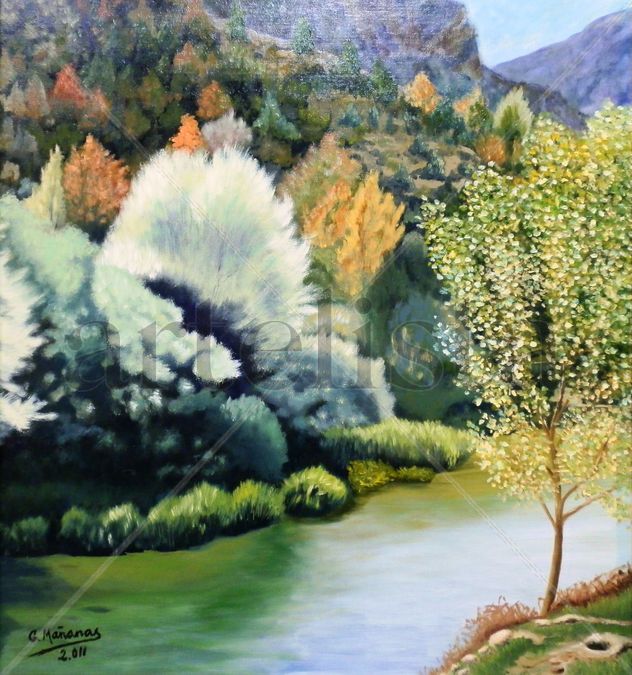Valle del Roncal II