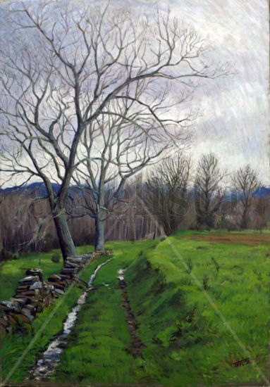 Sanabria I Oil Canvas Landscaping