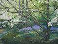 EL BOSQUE EN FLOR