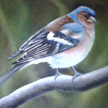 Pinturas de estudio thumbnail 1