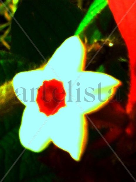 Estrella de cinco...