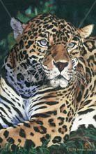 El Jaguar Azul de Kate Yorke 