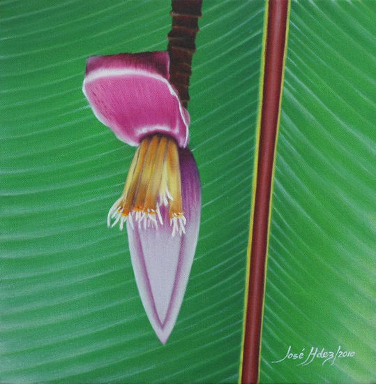 LA HOJA Y LA FLOR Oil Canvas Floral Painting