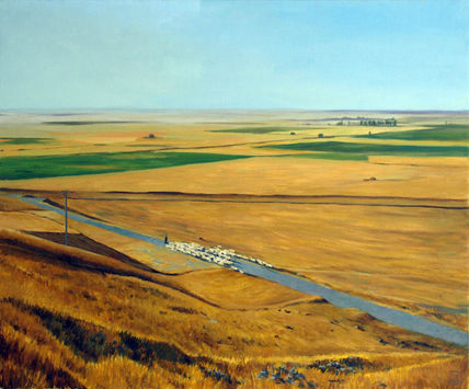 Tierra de campos