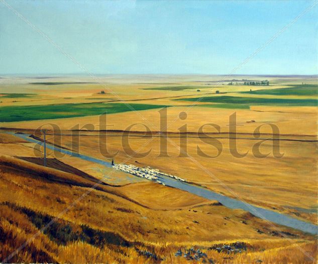 Tierra de campos Oil Canvas Landscaping