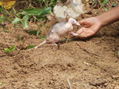 NATURALEZA