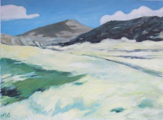 GREDOS 2008
