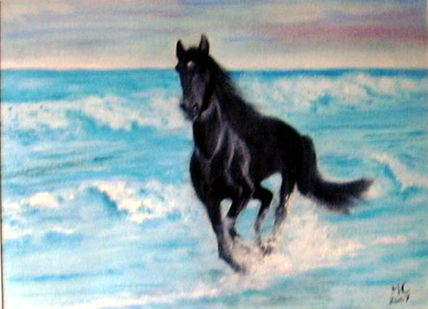 Azabache en el mar