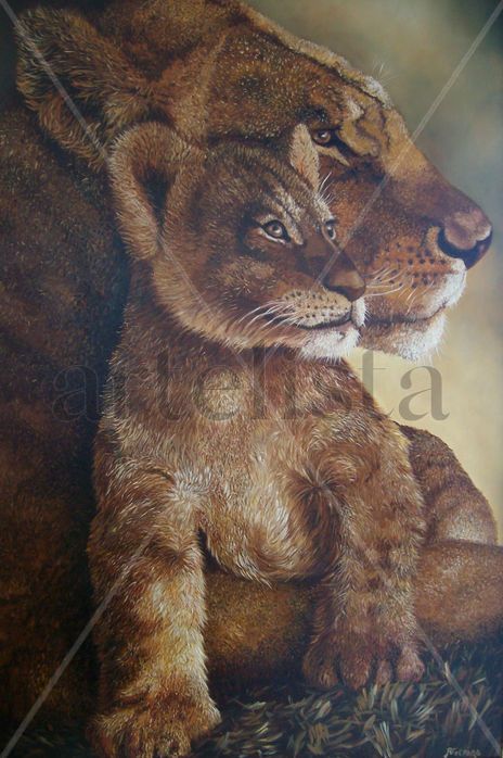 Amor felino