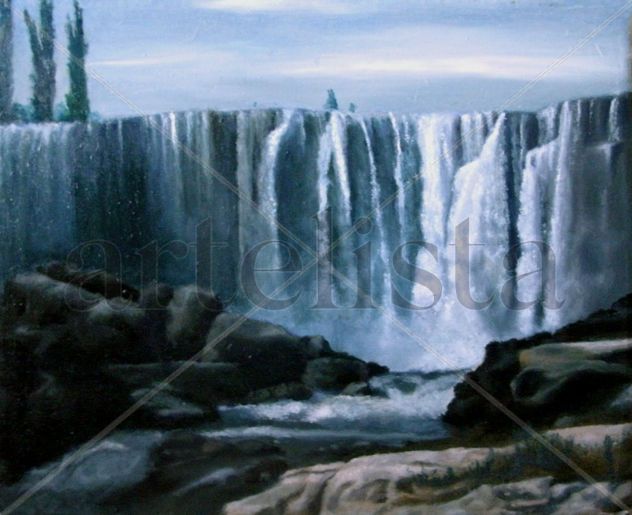 Salto el Laja