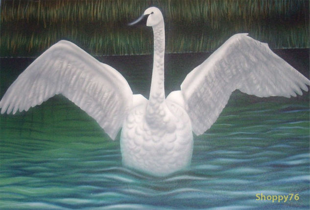 Cisne Óleo Lienzo Animales