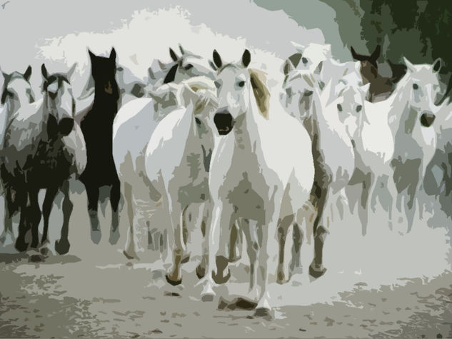 caballos 