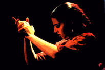 Flamenco 3