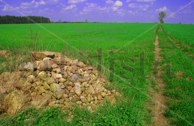 BOROWINA