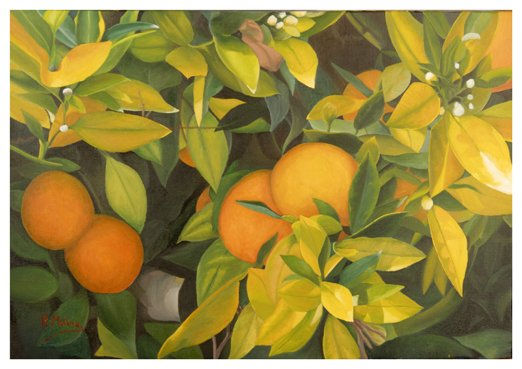 naranjas Oil Canvas Landscaping