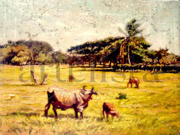Paisaje