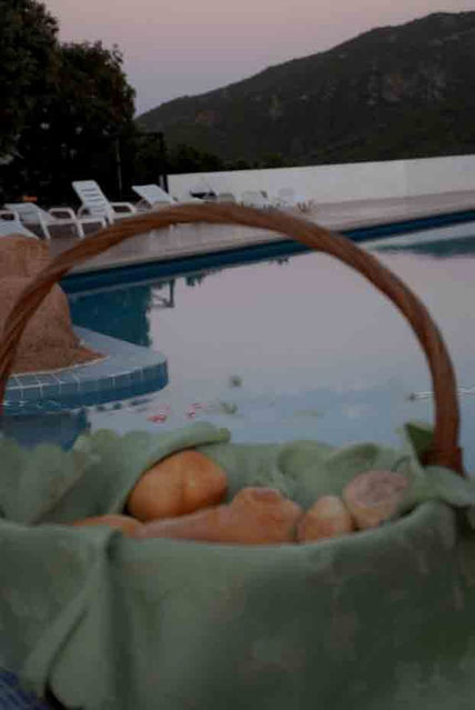 Bred at the pool