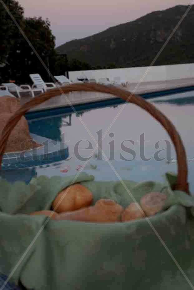 Bred at the pool