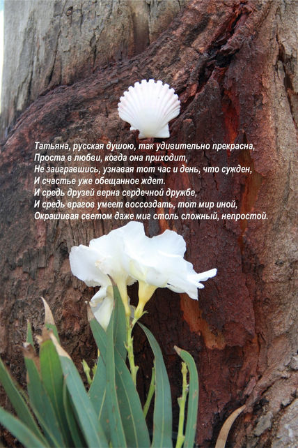 En Flores