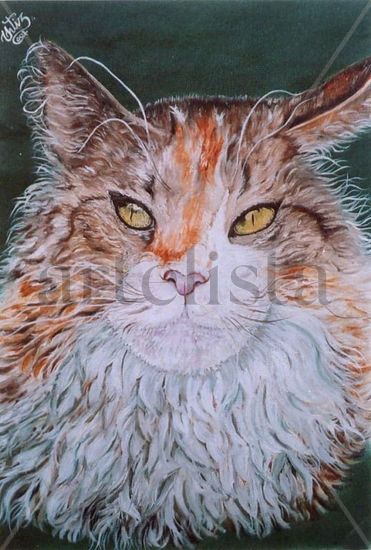 PACHO Oil Canvas Animals