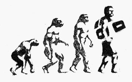 Evolution