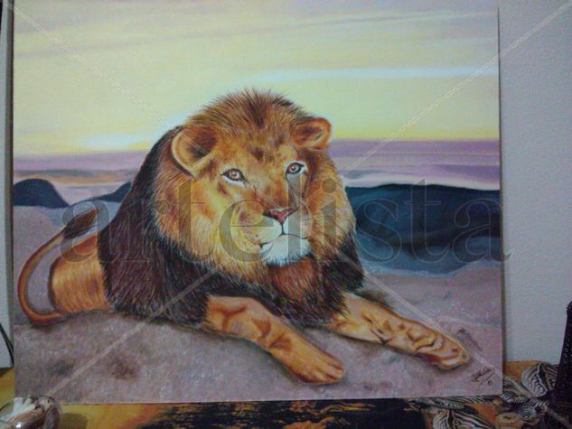 Layon Oil Canvas Animals