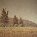 2007 thumbnail 2