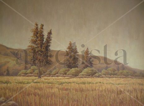 paisaje II
