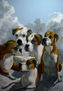 dogs