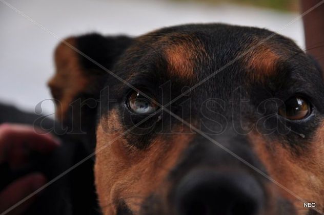 mirada