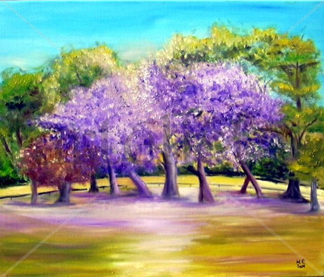 Jacarandaes Oil Canvas Landscaping