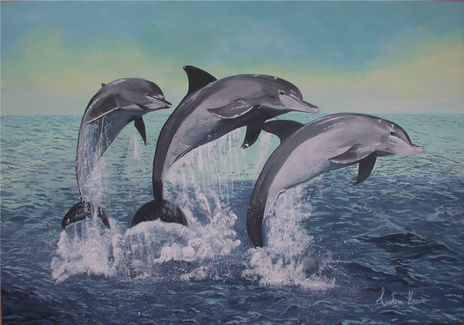 Delfines en el...