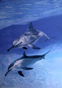 Delfines rotadores