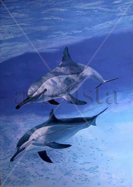 Delfines rotadores
