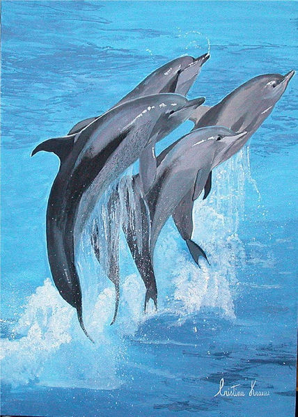 Delfines saltarines